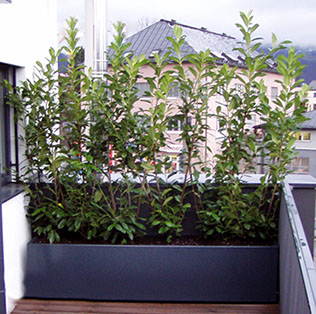 Dachterrassen
